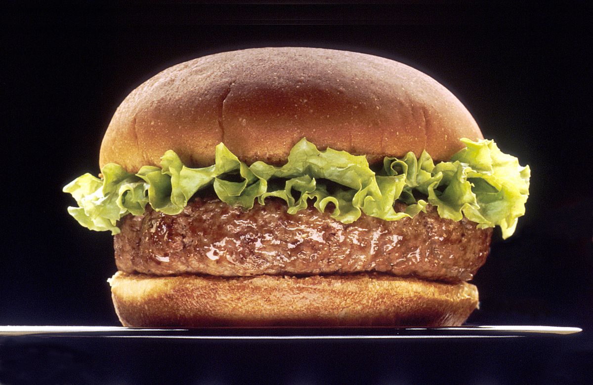 placeholder photo of hamburger